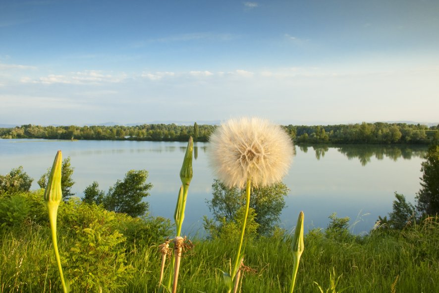 Il nostro fiume, il nostro futuro: una proposta condivisa per il Secchia