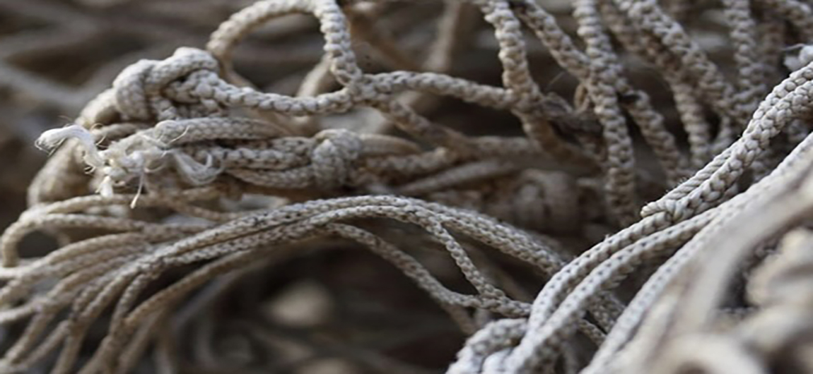 Carta della comunità patrimoniale cervese