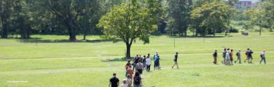 La transizione ecologica e climatica: consapevolezza ed educazione