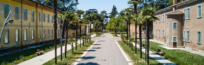 La città dei matti