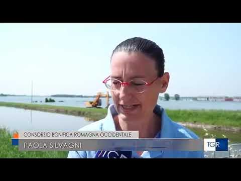 Media picture: Il distretto di pianura del Consorzio di Bonifica della Romagna Occidentale