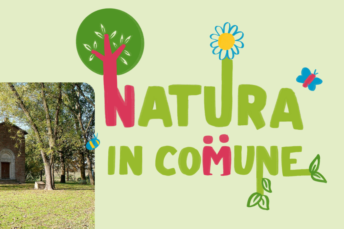 Media picture: Natura in Comune: la Tutela del Verde Diffuso ad Argenta