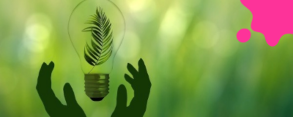 STEP - Realizzare percorsi di transizione ecologica con la partecipazione delle comunità